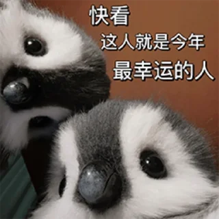 👀 emoji YOMee企鵝 Telegram sticker 19 of 29