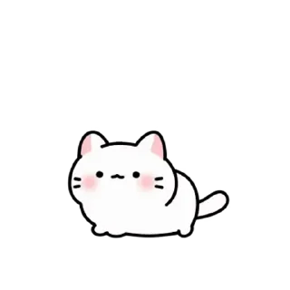 Sticker from ㅤㅤ         @stikie   및   @paaci