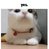 🤔 emoji moatasem's  😻😼😽[ @iilliai ] @TgEmojis_bot Telegram sticker 16 of 47