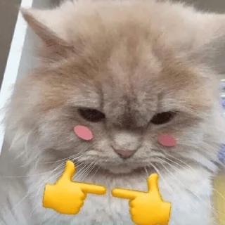 Sticker from 😻 Michis Moods 😽