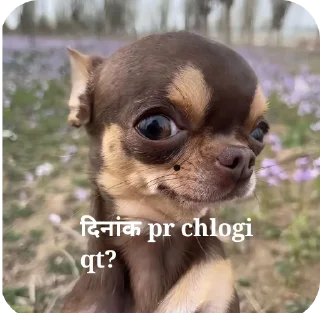 🥰 emoji @piyushsharma_007 Telegram sticker 16 of 65