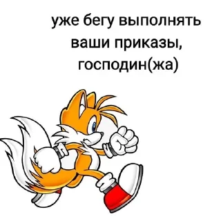 🙇 emoji ༺ᯓ › ебучие ёжики  @lankipa Telegram sticker 11 of 120