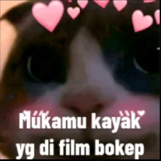 Sticker from N