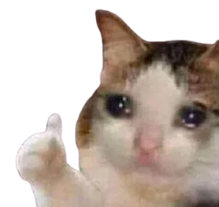 🥺 emoji @Rishabh_jain45's kang pack vol.1 Telegram sticker 16 of 79