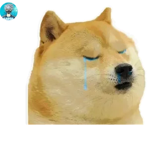 😭 emoji Harsh A. Official Pack Telegram sticker 8 of 78
