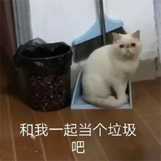 🤣 emoji 熊猫头 @PYQDBQ Telegram sticker 16 of 109