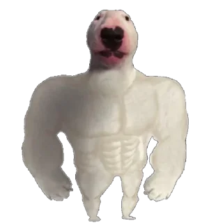 💪 emoji @screamingtoast's kang pack Vol.1 Telegram sticker 3 of 44