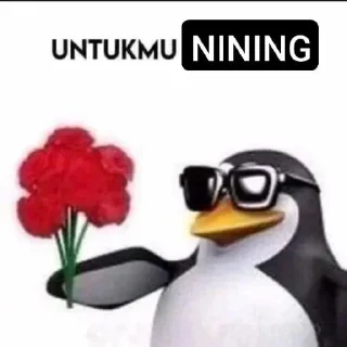 Sticker from nining euy
