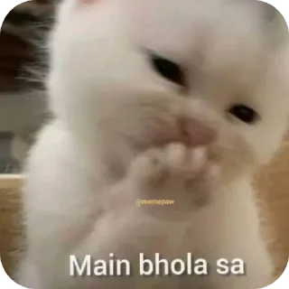 🐱 emoji narcissistic (kaush....) Telegram sticker 22 of 97