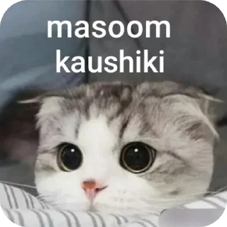 Sticker from narcissistic (kaush....)