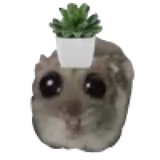 🪴 emoji @lunavk7 Telegram sticker 23 of 117