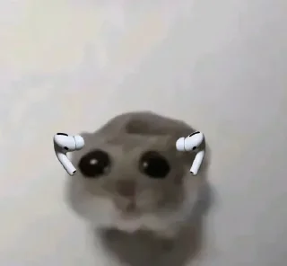 🐀 emoji . ݁ ˖๋ ࣭ 𖥔.🇪🇦᪲᪲˒ ֢ @lunavk7 ˒ ֢🇲🇽 ᪲᪲.𖥔 ݁ ˖ ࣭ Telegram sticker 19 of 120