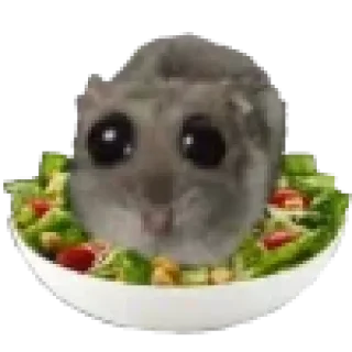 🥗 emoji @lunavk7 Telegram sticker 14 of 117