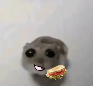 🐀 emoji . ݁ ˖๋ ࣭ 𖥔.🇪🇦᪲᪲˒ ֢ @lunavk7 ˒ ֢🇲🇽 ᪲᪲.𖥔 ݁ ˖ ࣭ Telegram sticker 16 of 120
