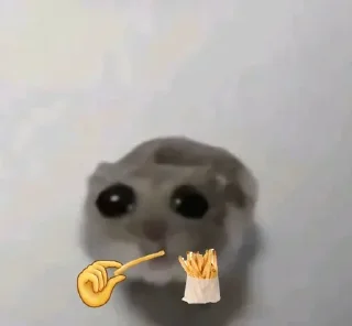 🐀 emoji . ݁ ˖๋ ࣭ 𖥔.🇪🇦᪲᪲˒ ֢ @lunavk7 ˒ ֢🇲🇽 ᪲᪲.𖥔 ݁ ˖ ࣭ Telegram sticker 13 of 120