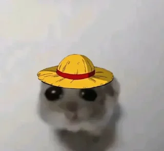 🐀 emoji . ݁ ˖๋ ࣭ 𖥔.🇪🇦᪲᪲˒ ֢ @lunavk7 ˒ ֢🇲🇽 ᪲᪲.𖥔 ݁ ˖ ࣭ Telegram sticker 24 of 120