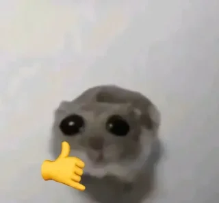 🐀 emoji . ݁ ˖๋ ࣭ 𖥔.🇪🇦᪲᪲˒ ֢ @lunavk7 ˒ ֢🇲🇽 ᪲᪲.𖥔 ݁ ˖ ࣭ Telegram sticker 5 of 120
