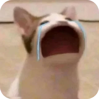 Sticker from stiker lele @evnisme