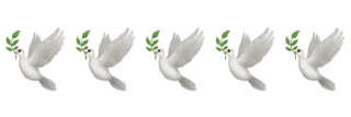 🕊 emoji ۬ ⪧🎞 @islamictreasure ᵎ ˖࣪ Telegram sticker 5 of 20