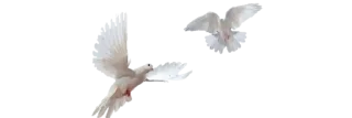 🏷 emoji Phoebe Eden Telegram sticker 5 of 34