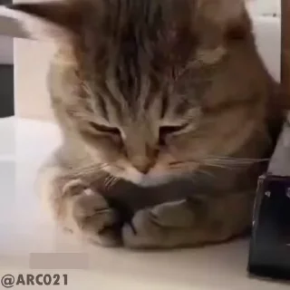 😔 emoji NARUTO UZUMAKI's @Wzy_nyx Telegram sticker 13 of 76