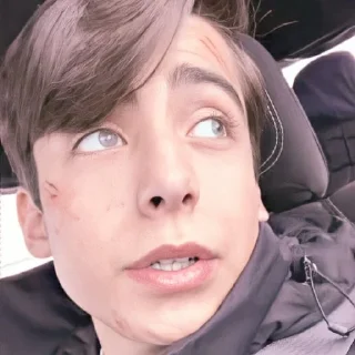 ✨ emoji Aidan Gallagher @stikerwestern Telegram sticker 20 of 70