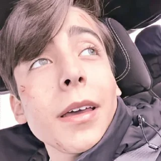 ✨ emoji Aidan Gallagher @stikerwestern Telegram sticker 19 of 70