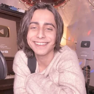 ✨ emoji Aidan Gallagher @stikerwestern Telegram sticker 15 of 70