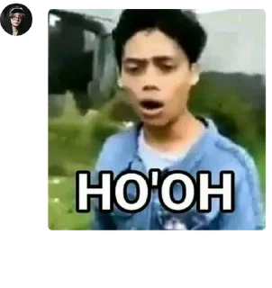 🇳🇪 emoji haha hihi syg 🫦 pack by @QuotLyBot Telegram sticker 3 of 68