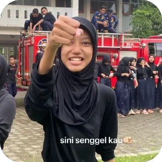 🫥 emoji hidup nkri pack by @QuotLyBot Telegram sticker 12 of 47