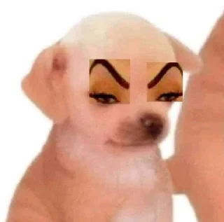 🤨 emoji Cute cry dog and cat @kecilvv Telegram sticker 11 of 64