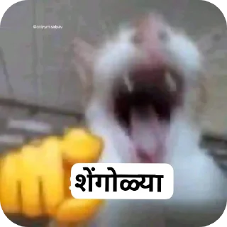 🖼 emoji Samyak's Marathi pack Telegram sticker 15 of 31