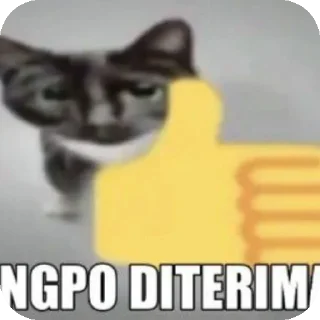 🐱 emoji COCOK LOGI 1.0 Telegram sticker 16 of 44