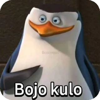 🐦 emoji COCOK LOGI 1.0 Telegram sticker 12 of 44