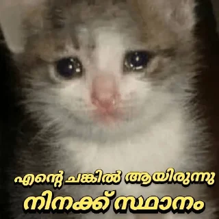 🥺 emoji @poocha_serr — @stckrRobot Telegram sticker 23 of 120