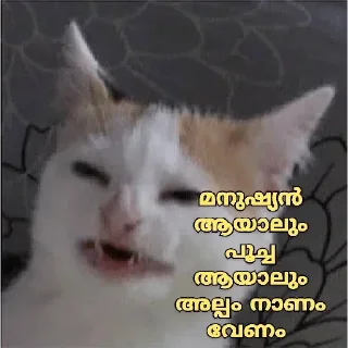 😂 emoji @poocha_serr — @stckrRobot Telegram sticker 21 of 120