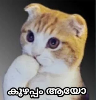 Sticker from @poocha_serr — @stckrRobot