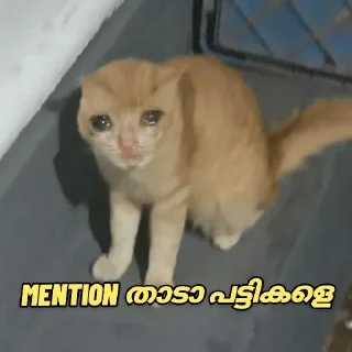 🥺 emoji @poocha_serr — @stckrRobot Telegram sticker 21 of 120