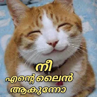 🤓 emoji @poocha_serr — @stckrRobot Telegram sticker 14 of 120