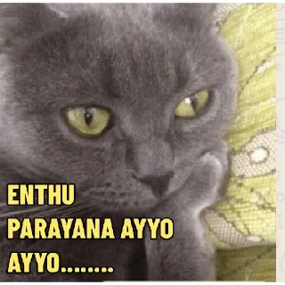 😂 emoji @poocha_serr — @stckrRobot Telegram sticker 17 of 120