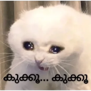 🥺 emoji @poocha_serr — @stckrRobot Telegram sticker 17 of 120