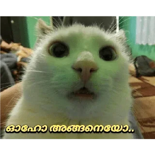 😂 emoji @poocha_serr — @stckrRobot Telegram sticker 19 of 120