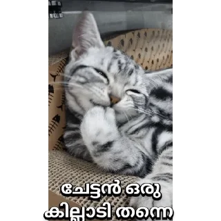🙈 emoji @poocha_serr — @stckrRobot Telegram sticker 24 of 120