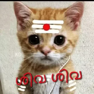 😂 emoji @poocha_serr — @stckrRobot Telegram sticker 15 of 120