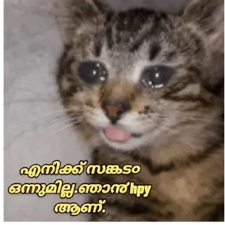 🥺 emoji @poocha_serr — @stckrRobot Telegram sticker 24 of 120