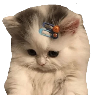 😒 emoji @poocha_serr — @stckrRobot Telegram sticker 18 of 120