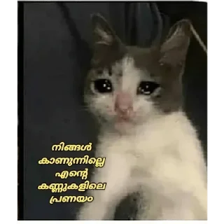 🥺 emoji @poocha_serr — @stckrRobot Telegram sticker 11 of 120