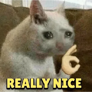🥺 emoji @poocha_serr — @stckrRobot Telegram sticker 8 of 120