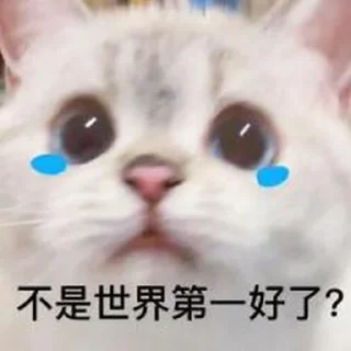 Sticker from 狗爷社区明灯专用贴图