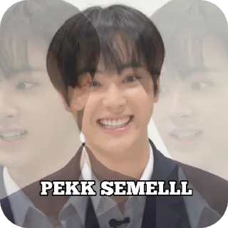 🙂 emoji 【@Pungutland】🅷𝐀𝐋𝐔 🅿𝐖𝐀𝐏 🆆𝐎𝐑𝐋𝐃 💖 Telegram sticker 18 of 57